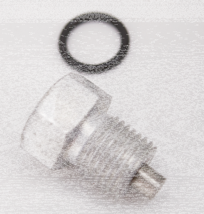 Drain plug with O-ring 1/4"-18 NPT (GB)