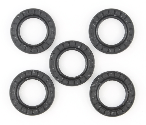 5PCK INNER CHAIN HOUSING BTl84-UP SEAL (GB)