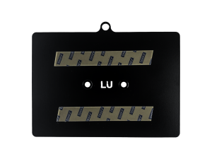 Blk Licence plate Luxembourg (GB)