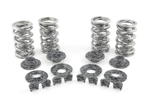 Valve Spring Kit 7mm .600" lift (GB)