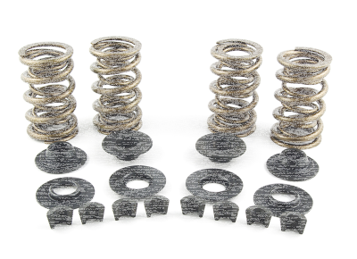Valve Spring Kit TC/EVO/XL 1.15" 180@1.8 (GB)