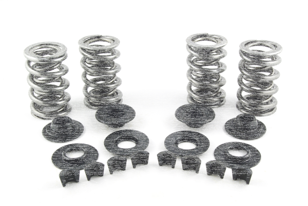 Valve Spring Kit 7mm .650" lift (GB)