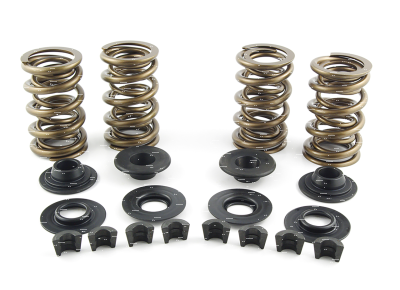 Valve Spring Kit TC.EVO.XL 1.08" 185@1.8 (GB)