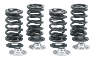 Valve Spring kit w/titan TC05-up XL04-up (GB)