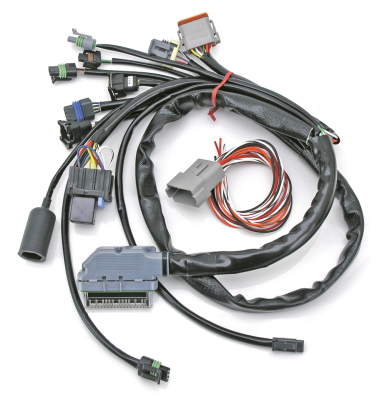 S&S Universal EFI/VFI wiring harness (GB)