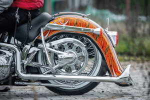 Rear Fender El Cabron F*ST00-17 (GB)