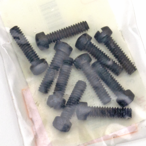 10pck Fillisterhead screw 10-24x3/4 prk (GB)