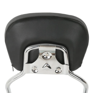 Sissybar + Pad Chrome FLRT15-Up (GB)