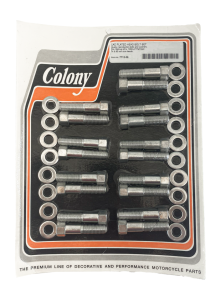 Bolt&washer kit all SV w/iron head WhPl (GB)