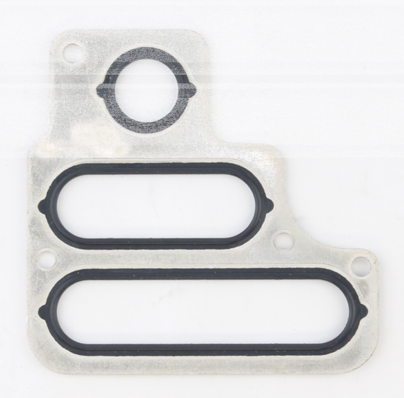 Transm/Engine seal 6spd TC06-17 (GB)