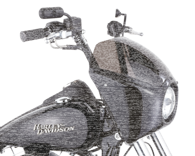 NESS FAIRING FXD06-17 RAW not -F & -WG (GB)