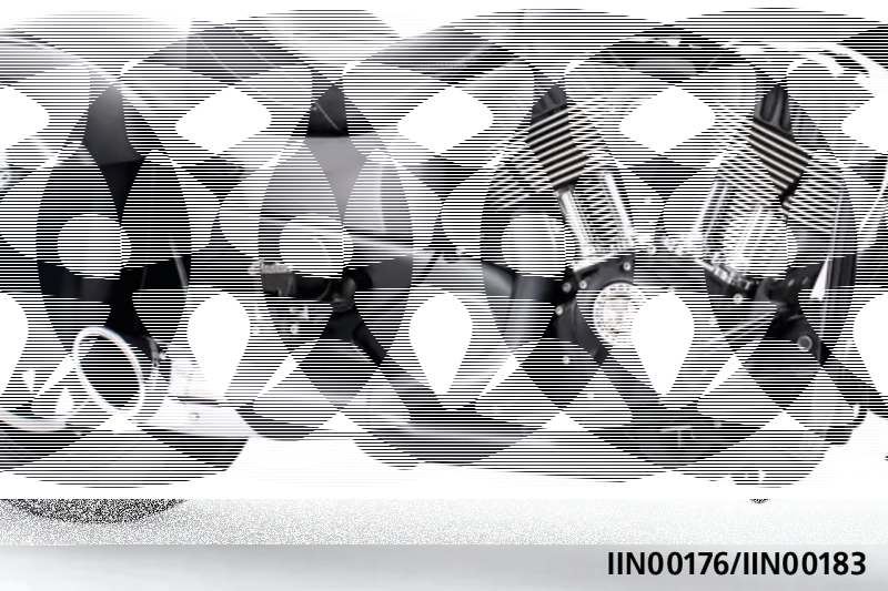 FREEDOM 2-1 TURNOUT Combo BK Chieftain (GB)