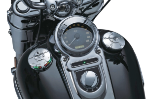 AMBER TWO CIRCUIT LED BULB, TR