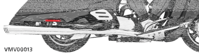 Ch/ch Racing True Duals Vision (GB)