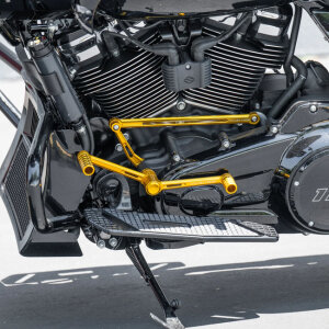 Arlen Ness, Speedliner Foot Control Kit. Gold