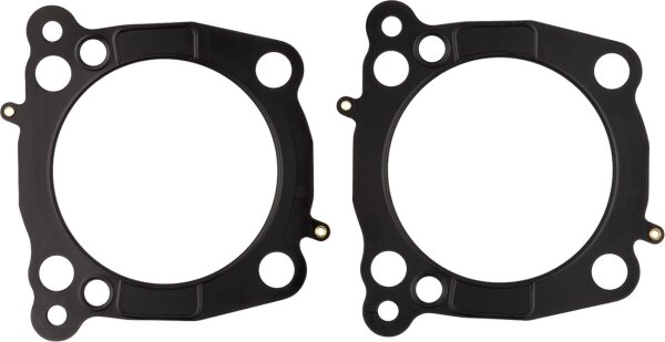 Gasket 4.310 .036 Mls H/g 2024