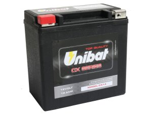 CX14 Heavy Duty Batterie AGM, 275 A, 12.0 Ah  inkl. 7,50...