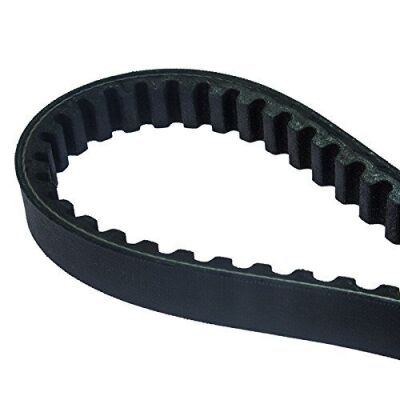 Timing Belt