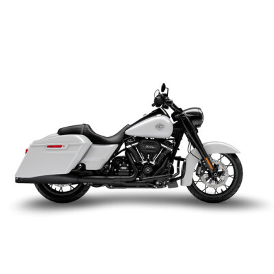 Zard, Racing Slip-Ons with Black Alu End Caps. Black