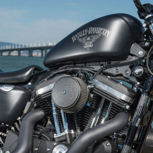 Arlen Ness, Stage 1 Big Sucker air cleaner. Smooth black