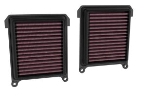 Air Filter Crf1100