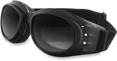 Goggle Cruiser 2 Intrchng