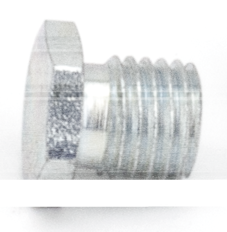 EACH Freedom O2 Sensor Plug M10x1.25" (ES)