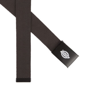 Dickies Orcutt belt dark brown One size fits most