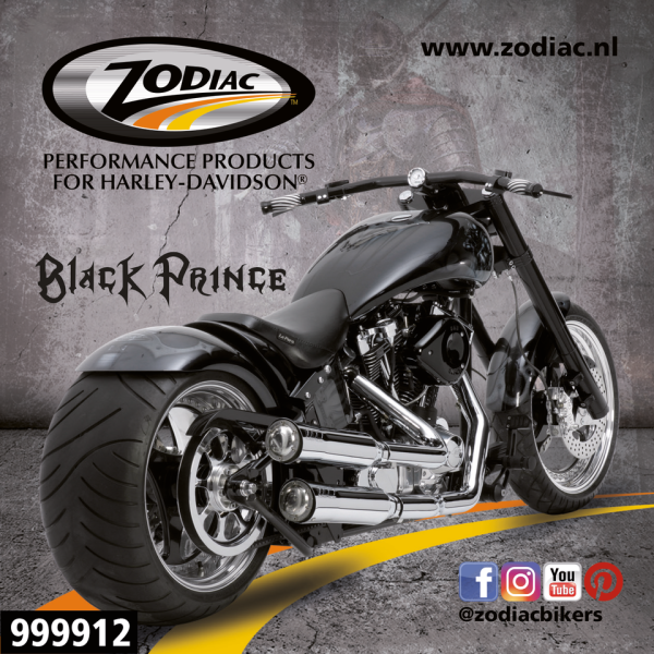 10Pck Zodiac Black Prince sticker (DE)