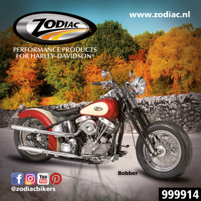 10Pck Zodiac Bobber sticker (FR)