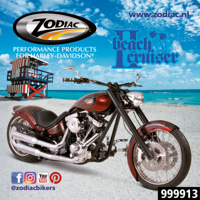 10Pck Zodiac Beach Cruiser II sticker