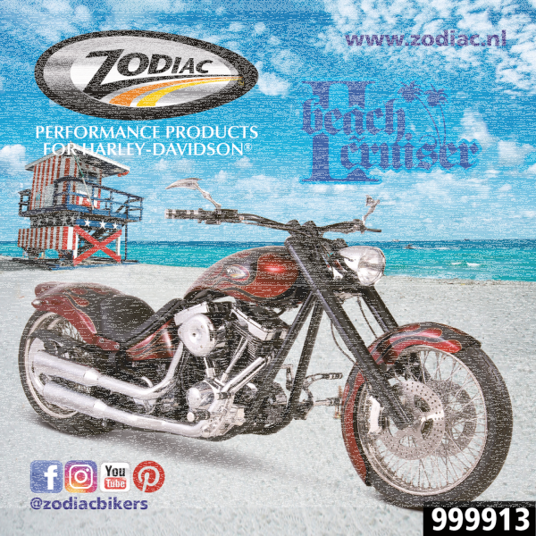 10Pck Zodiac Beach Cruiser II sticker (GB)