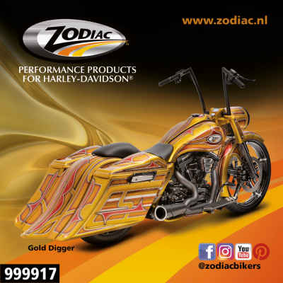 10Pck Zodiac Gold Digger sticker (GB)