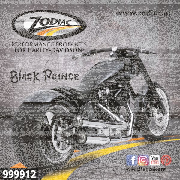 10Pck Zodiac Black Prince sticker (ES)