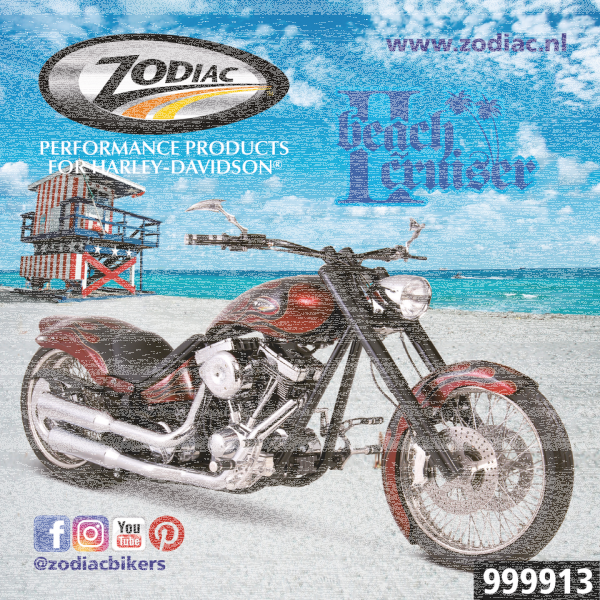 10Pck Zodiac Beach Cruiser II sticker (ES)