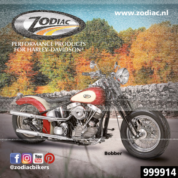 10Pck Zodiac Bobber sticker (ES)