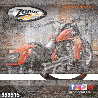 10Pck Zodiac Orange Crush sticker (ES)
