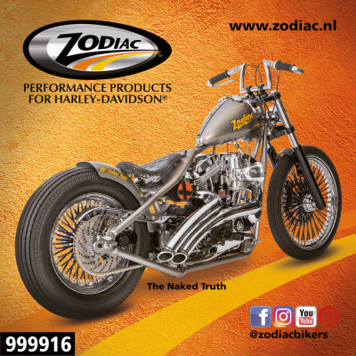 10Pck Zodiac The Naked Truth sticker (ES)