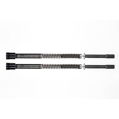 Legend, 49mm Axeo Comfort fork cartridge set