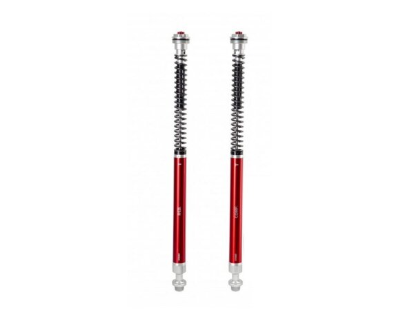 Cartridge Kit 880 Mm Transalp
