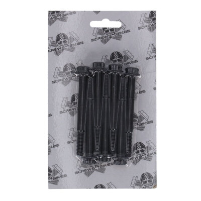 Screws4Bikes, bolt kit. Titan 2Drive. Black