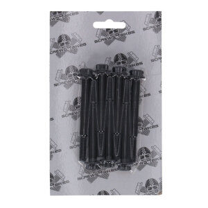 Screws4Bikes, bolt kit. Titan 2Drive. Black