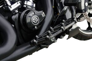 Floorboard Driver - Flt 99-up