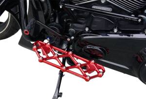 Floorboard Driver - Flt 99-up