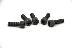 Triple Clamp Screws Vrod