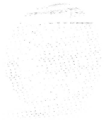 M52 FR 21x2.15" CH/BK FXS/B08-Up (IT)