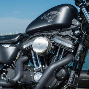 Arlen Ness, Stage 1 Big Sucker air cleaner. Brushed SS