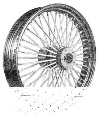 M52 FR 21x2.15" BK/CH FXS/B08-Up (FR)