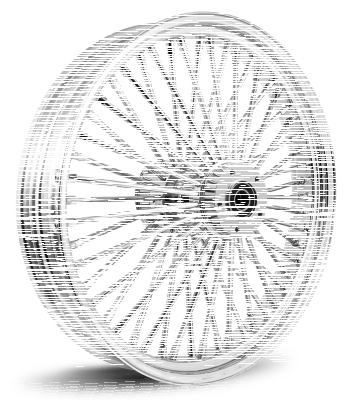 M52 FR 21x2.15" BK/BK F*ST07 (ES)