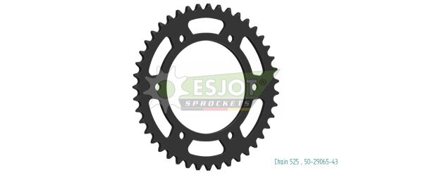 Sprocket Rear 43t 525